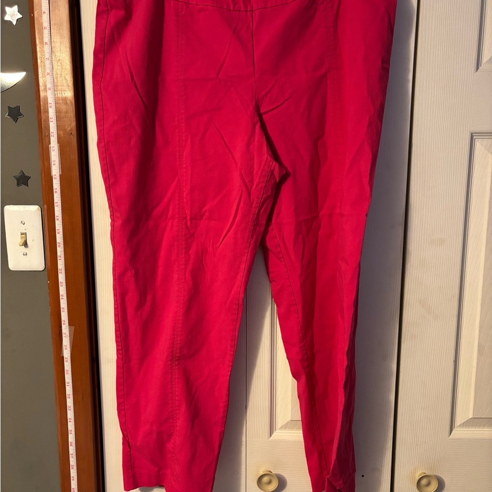 Zac & Rachel Hot Pink Pants